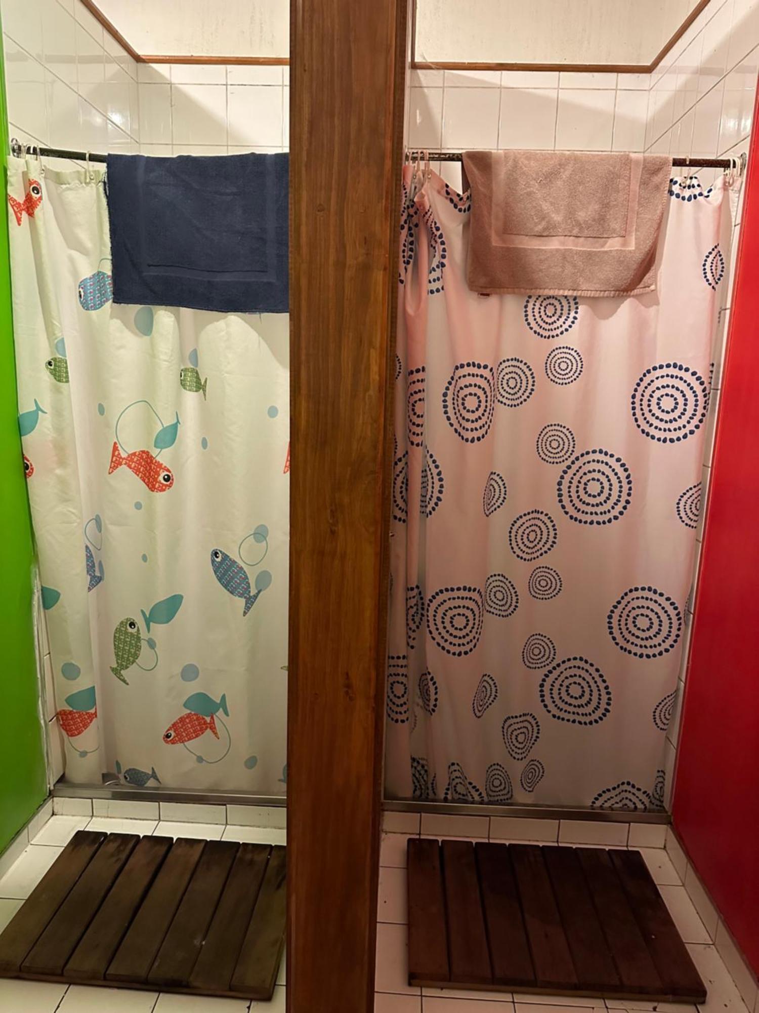 Manor House Backpackers Pansiyon Dunedin Dış mekan fotoğraf